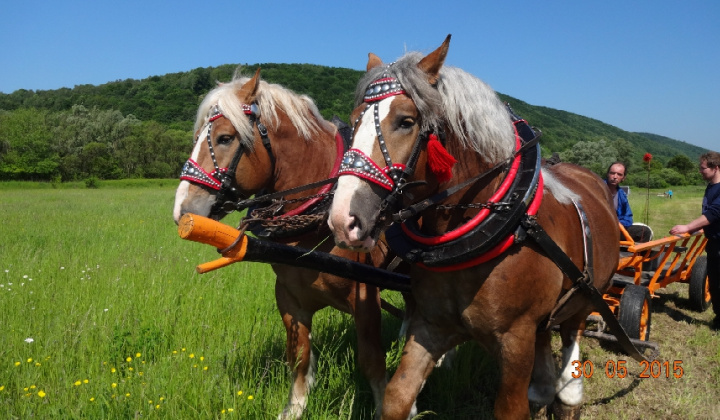 FURMANSKÉ PRETEKY 30.5.2015