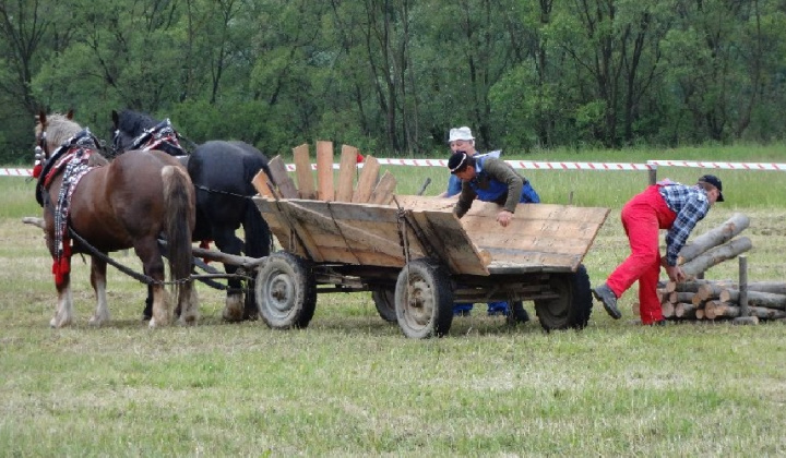 FURMANSKÉ PRETEKY 25.5.2013