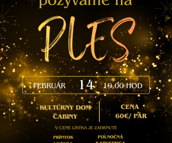 Aktuality / Pozvánka na ples  - foto